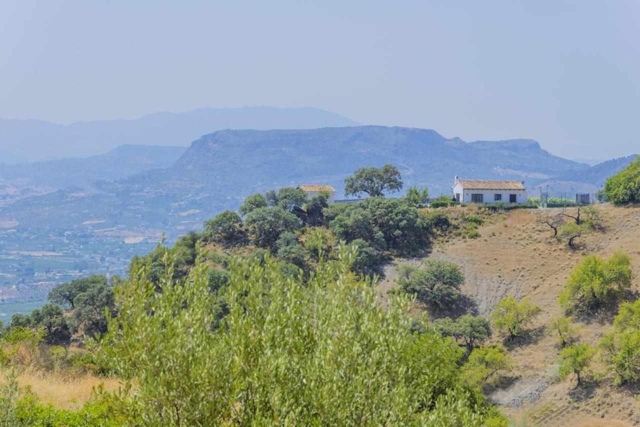 Holiday home El Chaparro